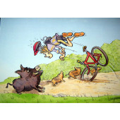 Carte postale : vélo des bois