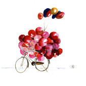 Carte postale "le vélo aux ballons"